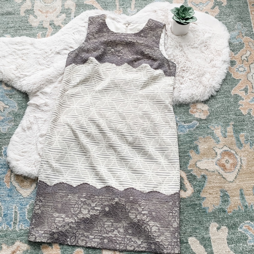 LOFT Ivory and Gray Lace Sheath Dress